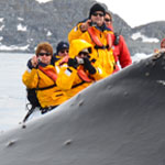 Sometimes they get really close to the zodiacs (not my photo)