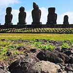 They were dragged from the quarry and placed on ceremonial platforms called 'Ahu'.