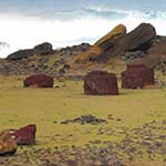 During a period of tribal warfare, all the moai were toppled. Some of the moai have red cylinders on their heads. It probably represents a top knot. Here, they've fallen off and rolled away.