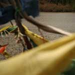 Prayer Flags over Tarzang Lake.