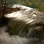 Terraced Lake, detail