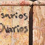 It amused me that someone had sprayed 'Keep your rosaries off our ovaries' on the front of a Roman Catholic cathedral