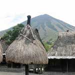 Traditional Village