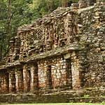 Yaxchilan - if you want to see its very best carvings, they're in the British Museum!