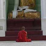 One of the thousands of Buddhist monks, praying before an image at Shwedagon