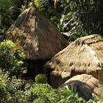 More traditional Nipa huts