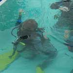 They're the only group on the island to have access to a pool for confined water training