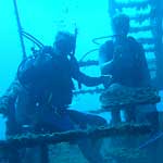 The Odyssey, Roatan